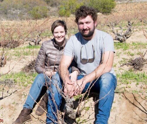 David Nadia In Pinotage On Paardebosch Farm Scaled 500x421 1